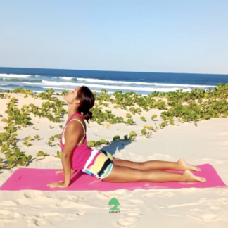 Conheça 11 asanas para iniciantes no yoga